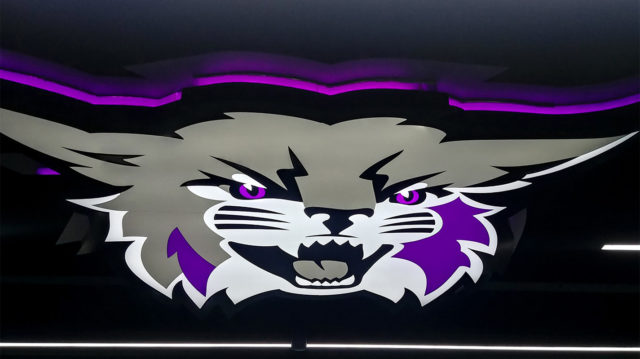 Front and Halo Lit Weber State Cat